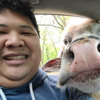Andrew Corrao M. Ed (@penguinxcrossin) 's Twitter Profile