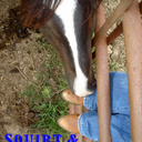 Brittany Marr - @bamtn - Twitter