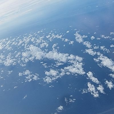 yusncid's profile picture. 