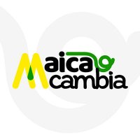 Alcaldía De Maicao(@alcaldia_maicao) 's Twitter Profileg