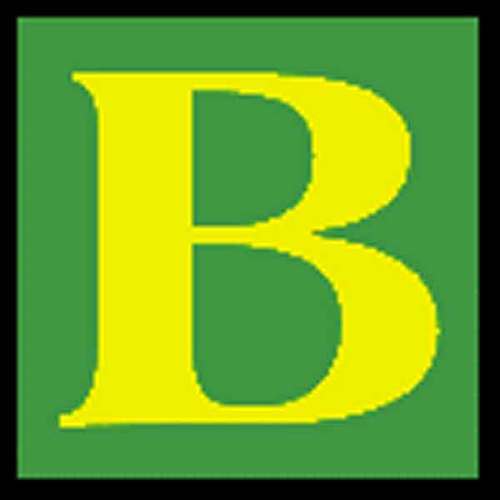 BoobyRobinson's profile picture. Google Me