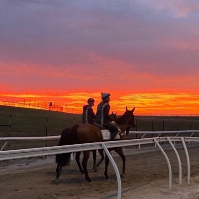 Apprentice Jockey in Victoria indentured to @pstokesracing based at Pakenham