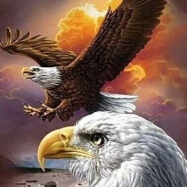 GisellePelleti3's profile picture. 