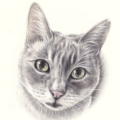 JunJun！【パステル画　原画】 JunJun！【パステル画 原画】 JunJun！【パステル画 原画】