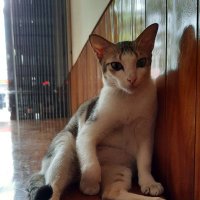 Vincent Ruan (@vincentruan8) Twitter profile photo