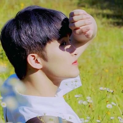 new acc