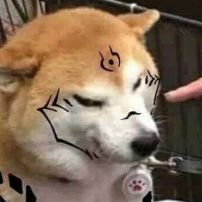 happyさんのプロフィール画像