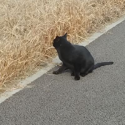 h7EeUObJQ4ypE8m's profile picture. アイスブロック食べたい