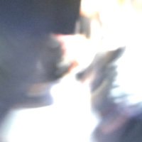 Surf Gang (@1surfgang) 's Twitter Profile