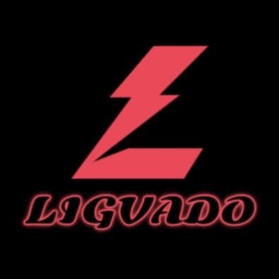 ligvado's profile picture. Web Programist and Gamer )