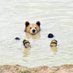 🐻 Daily Bear pics 📸 (@dailybears1) Twitter profile photo 🐻 Daily Bear pics 📸 (@dailybears1) Twitter profile photo