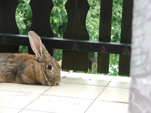 avoids0ciety's profile picture. http://t.co/QoKdjq64l3