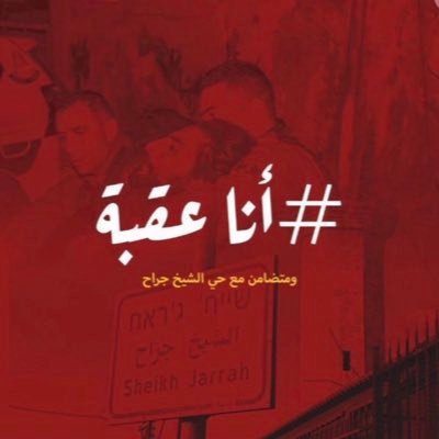 rrashdi3's profile picture. 