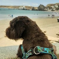 LDT | LEGEND | COD (@la_leyenda_cr) 's Twitter Profile Photo