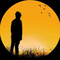 Brijesh Raval 7⃣ (@brijesh_231) 's Twitter Profile