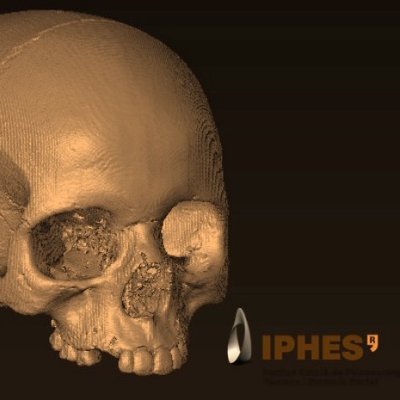 The Palaeoanthropology Unit of the @iphes is devoted to the study of Pleistocene and Holocene human remains.  Unit Coordinator: Dr. Marina Lozano