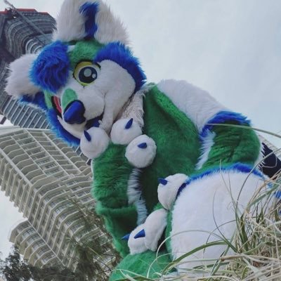 Hello there !! Just a Husky chilling
I’m not here for a long time just a fun one 😂👏
Suit made by: LazyLupe
I’m a noob at Twitter so don’t expect to much 😂