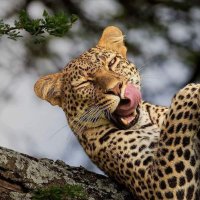 Mwenjee (@mwenjee1) 's Twitter Profile