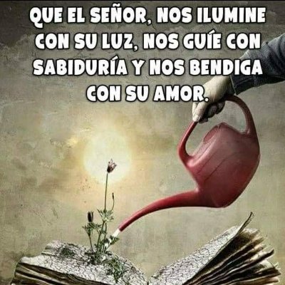 joseelduro's profile picture. 