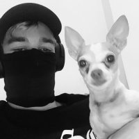 Sean Noxious (@seannoxious) 's Twitter Profile