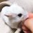 mihamuma's profile image