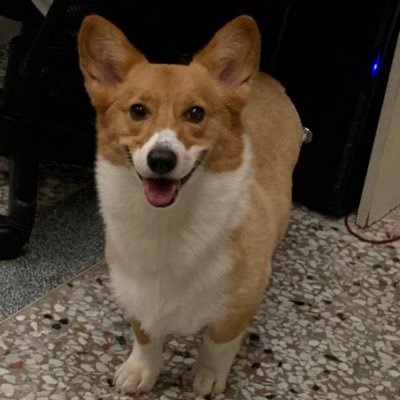 pp891203's profile picture. 我喜歡追蹤別人