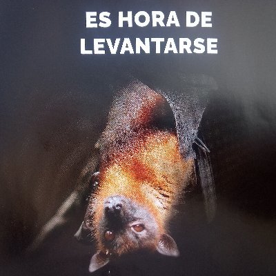 jorodmo1977's profile picture. 