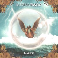 Iguana Tango (@iguanatango) 's Twitter Profile