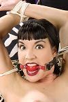 Do you love #fetish, #BDSM, #humiliation and #kink?  Erotic #Mistresses, Femme Dommes, #Dominatrixes, available for #phonesex! No Taboos!
1-866-560-6565