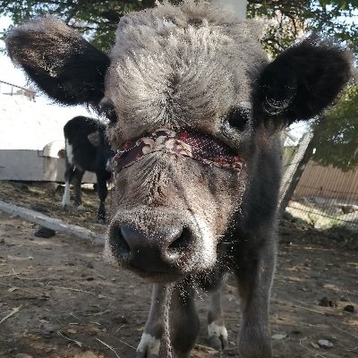 MB13さんのプロフィール画像