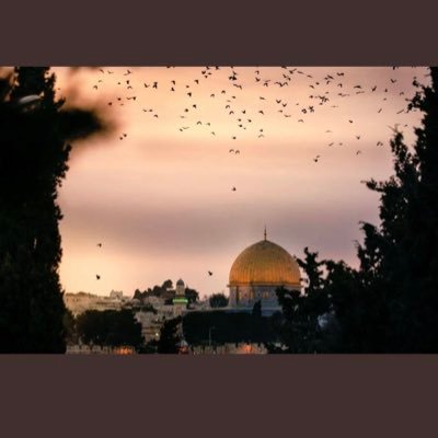 Nisan3454's profile picture. 