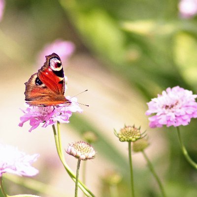 Photographer, walker, and artist with a love of the countryside!