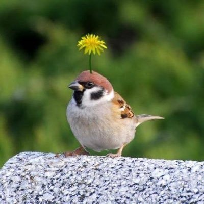 すー。