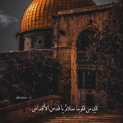 AhmdZaki15's profile picture. eagle`s shadow