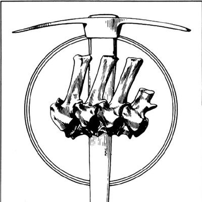 Journal of the Society of Vertebrate Paleontology