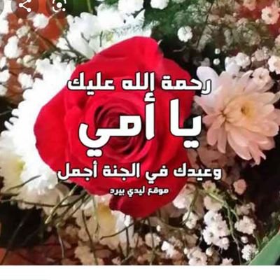 raed5002's profile picture. .‏أنــتي لــي وطـن ونبــض و روح
وأشـياء اخـرى فـ كـوني بـي
ولـي ومــني ولاجـلي