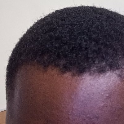 zealousKI's profile picture. Ardent learner || Engineer || Backend developer.