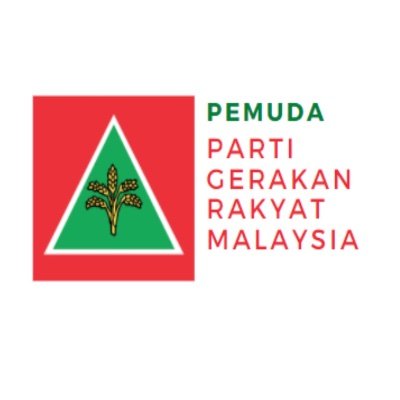 Pemuda Gerakan Youth (PGRM Youth Wing)