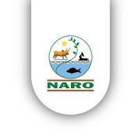 National Banana Research Program - NARO(@NAROBanana) 's Twitter Profile Photo