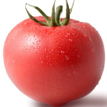 toma_temate's profile picture. 5c とまと