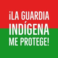 Nativo Almafuerte - Pachamamerto Experto (@hdc413) 's Twitter Profile