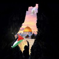 Nawalhamad (@nawalboulabqah) 's Twitter Profile