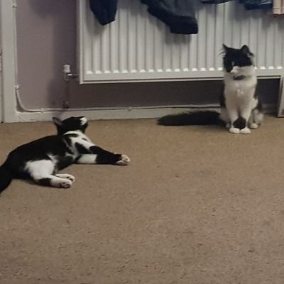 pauldavis50001's profile picture. Used to love FI, now want out