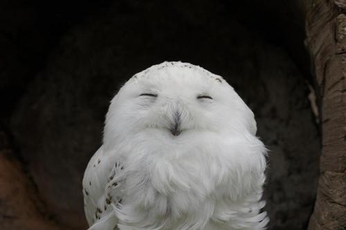 ssdR62's profile picture. 自然体がいかに大切か。
自分をしっかり持って生きていこうと思います。
そして、そのことを伝えられるように生きていこうと思います。