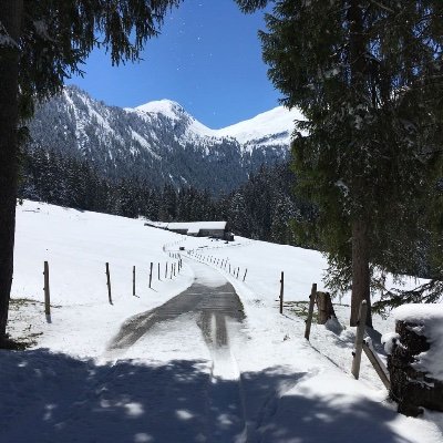 MantJerry's profile picture. Free spirit thinker. Certainly not a Sheep.