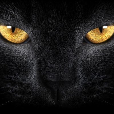 Valdrimord's profile picture. Actuellement client Free Mobile et Orange (pro), je test les autres opé quand c'est possible et n'affirme rien sans preuve, je constate simplement des faits.