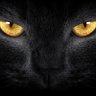 Valdrimord's profile picture. Actuellement client Free Mobile et Orange (pro), je test les autres opé quand c'est possible et n'affirme rien sans preuve, je constate simplement des faits.