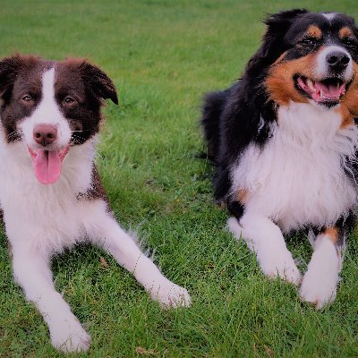 I love Tennis, books and my dogs.