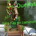 Plataforma San Isidro (@plataformasan) Twitter profile photo Plataforma San Isidro (@plataformasan) Twitter profile photo
