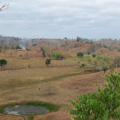 A 20 km de la playa🏖 -  abrazado por lomas y frescas colinas🌄 con una nueva esperanza en elEstado Colombian.🇨🇴🇨🇴🇨🇴
¡Todos vuelven siempre!